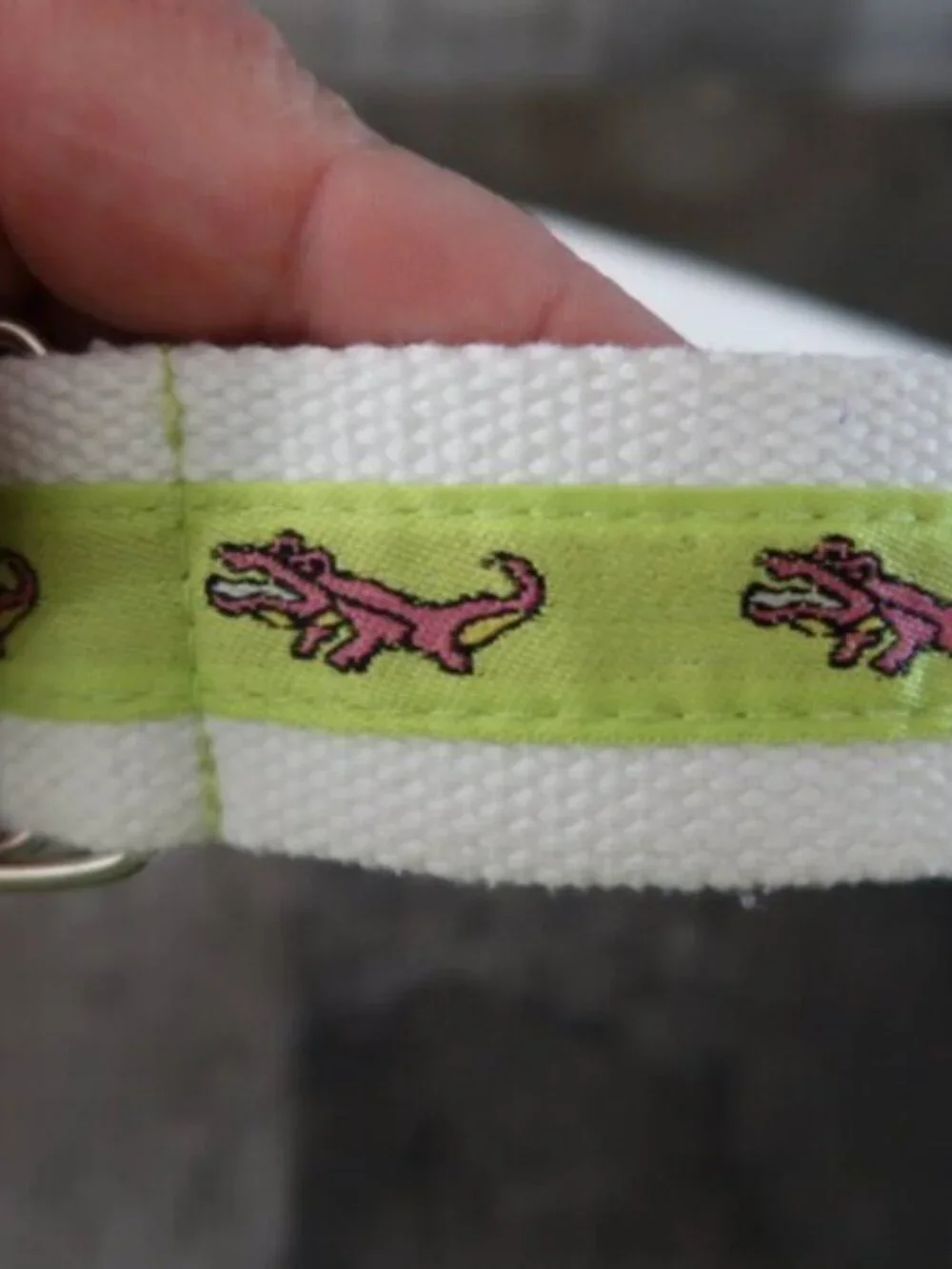 White Canvas Belt Double D Ring Alligator Crocodile Green Stripe Child Size
